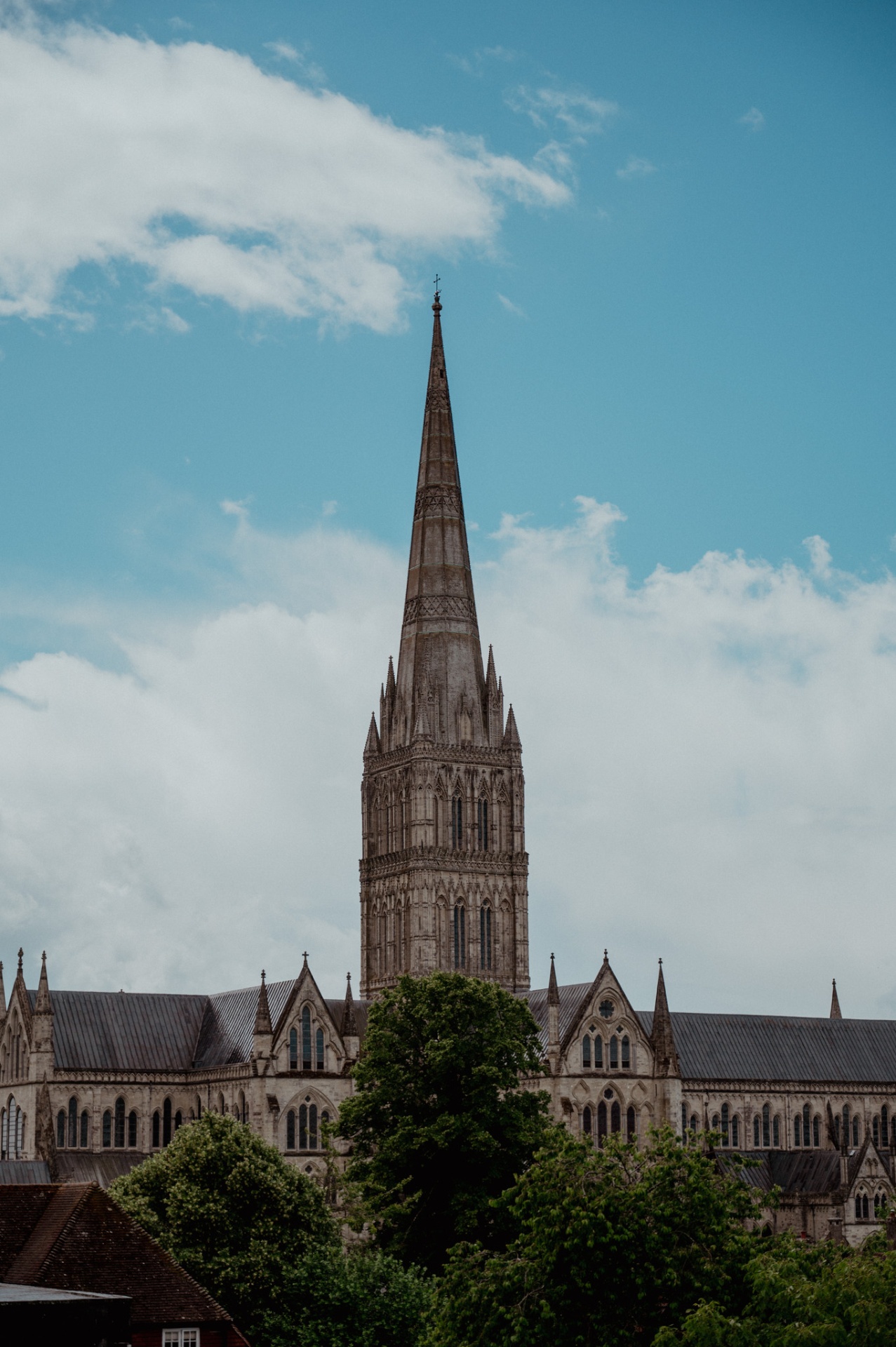 Cathedral skyline above rooftops and trees