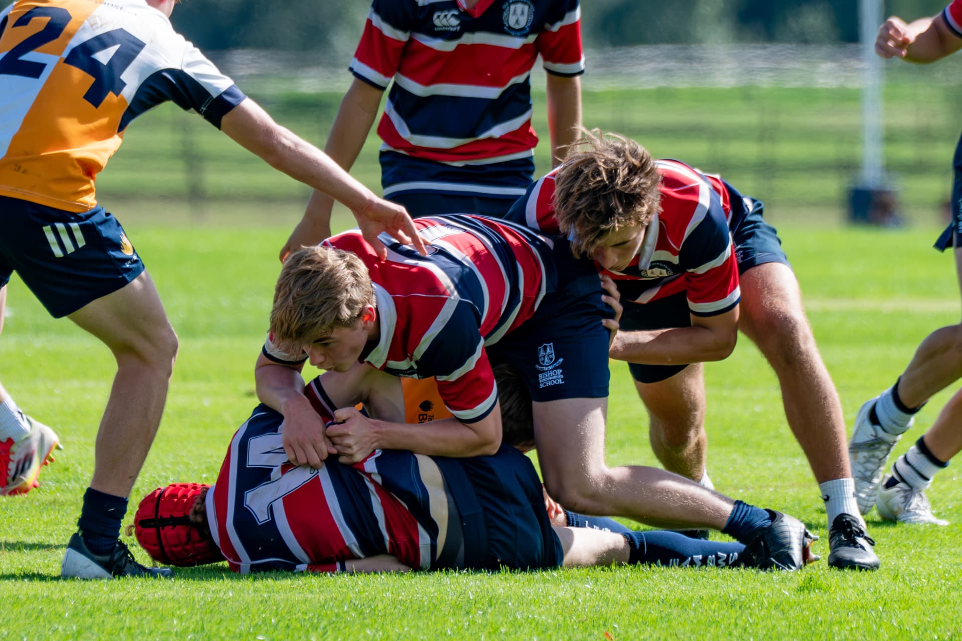 Rugby players contesting the ball on the ground
