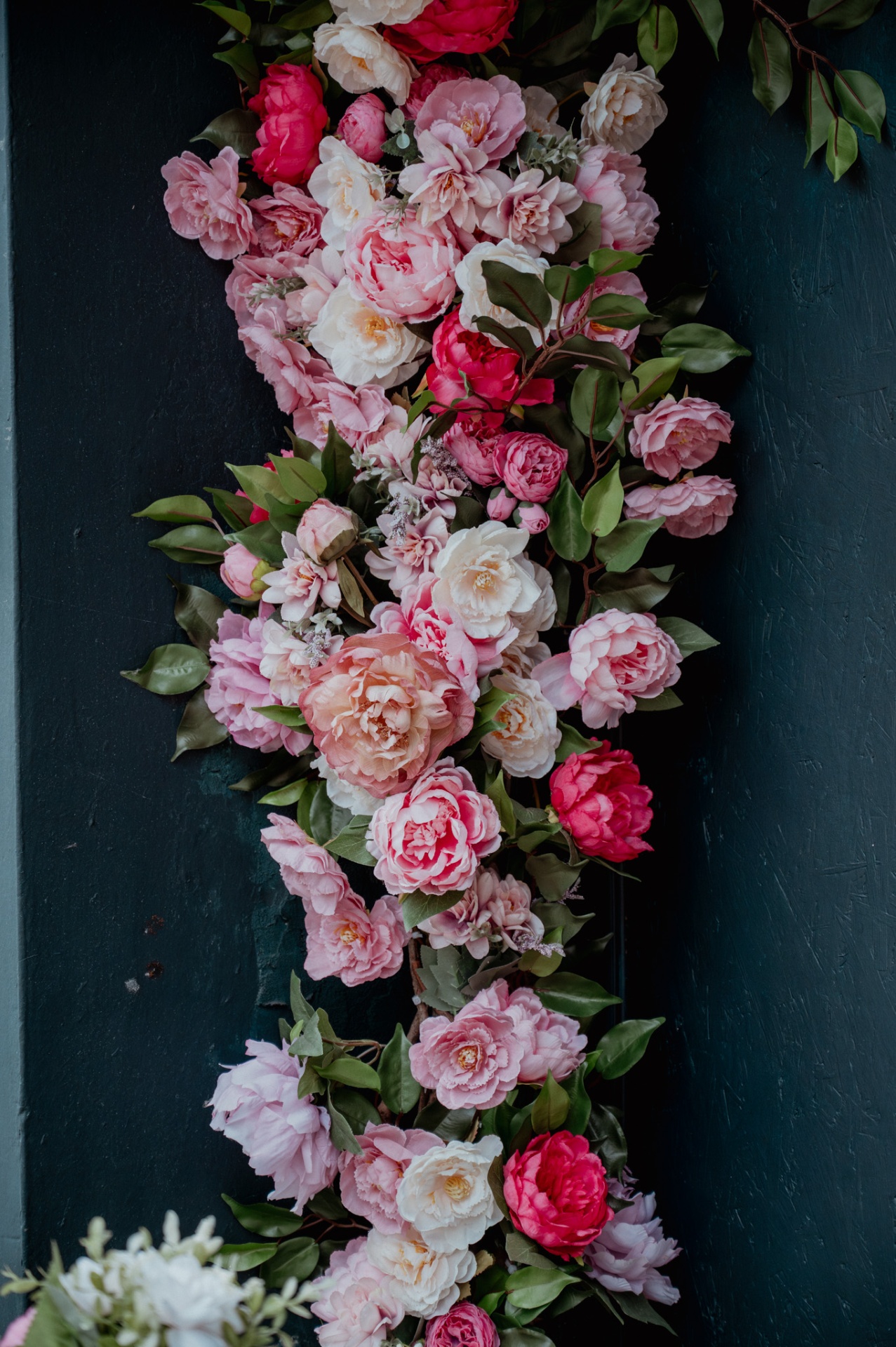 Cascade of pink roses against a dark painted wall